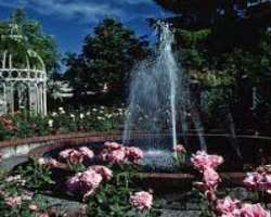 The park is divided into different parts each having its own theme. You can see waterfalls, a fountain, a variety of flowers and aviaries in the park.